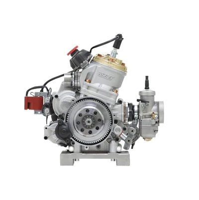 Vortex Rok GP 125cc Engine