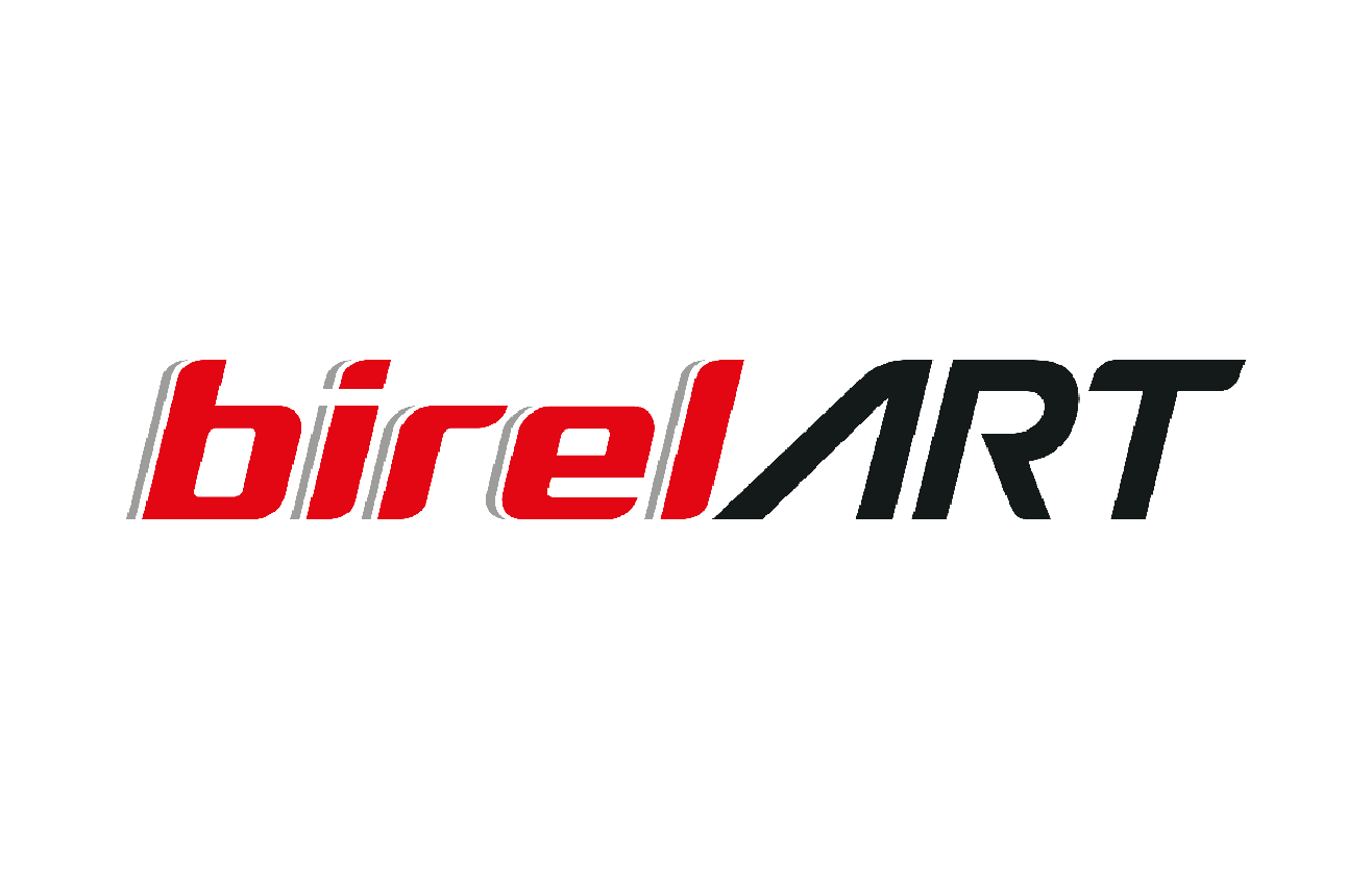 Birel Brake Pads