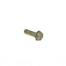 15. Rotax Max Taptite Screw M5x25mm