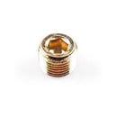16-Rotax max Head Plug Screw M10X1 DIN 906 - MK