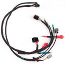 36.  ROTAX MAX EVO WIRING HARNESS