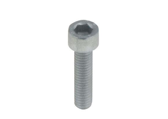 [350]  SOCKET HEAD SCREWS M6X25