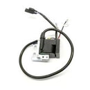 273   IAME PVL Coil SSE 175