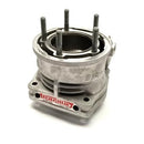 [019A] IAME CYLINDER  SSE  175