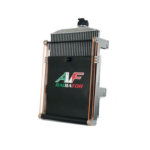 AF Large go kart Radiator with Curtain