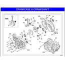 175cc CRANKSHAFT & CRANKCASE