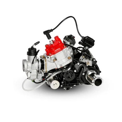 Rotax Max FR 125 Evo DD2 Engine Package