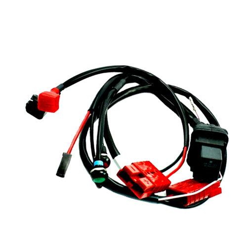 131.  ROK-VLR COMPLETE IGNITION WIRING HARNESS