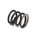 Briggs & Stratton  VALVE SPRING