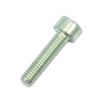 #29 -  DELLORTO FLOAT CHAMBER FIXING SCREW